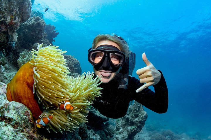 Great Barrier Reef Full Day Tour from Cairns