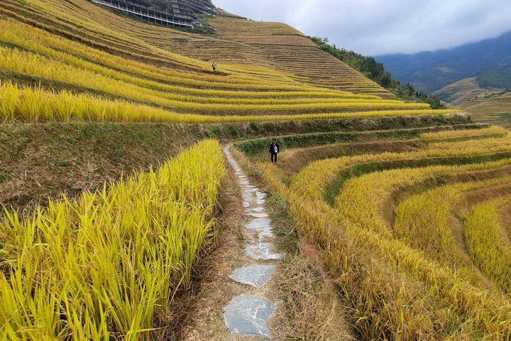 10-Day Private Tour from Nanning to Guilin and Guangzhou