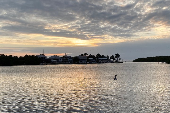 Southwest Florida Sunset Sail