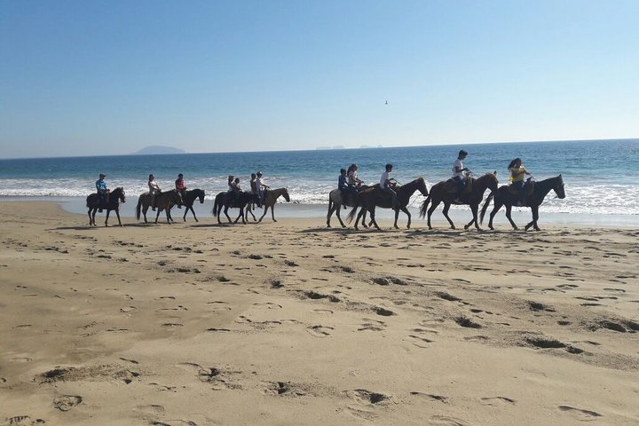 Horseback Riding in Ixtapa with Hotel Pickup