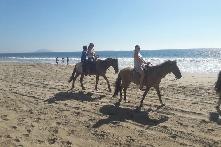 Horseback Riding in Ixtapa with Hotel Pickup