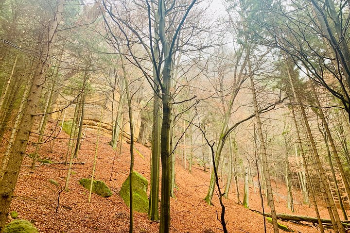 Hassle-free Bohemian & Saxon Switzerland Trip from Dresden