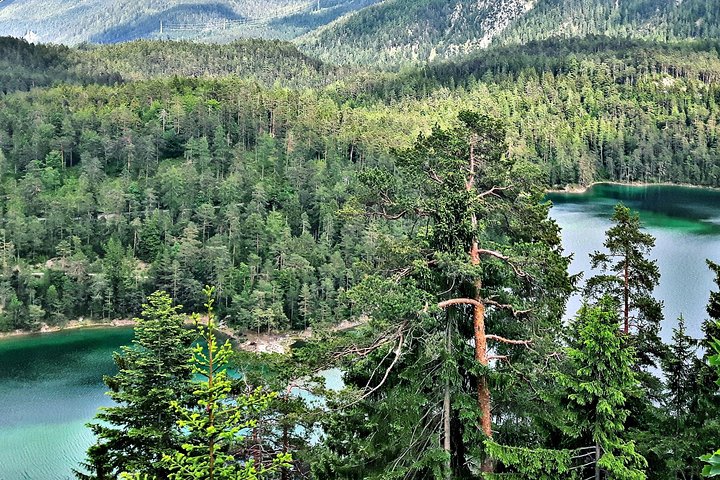 Private Full-Day Tour of Neuschwanstein Castle from Innsbruck