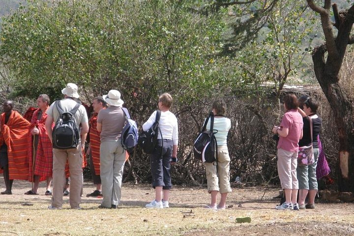 2 Days 1 Night tour to the Amboseli National Park.