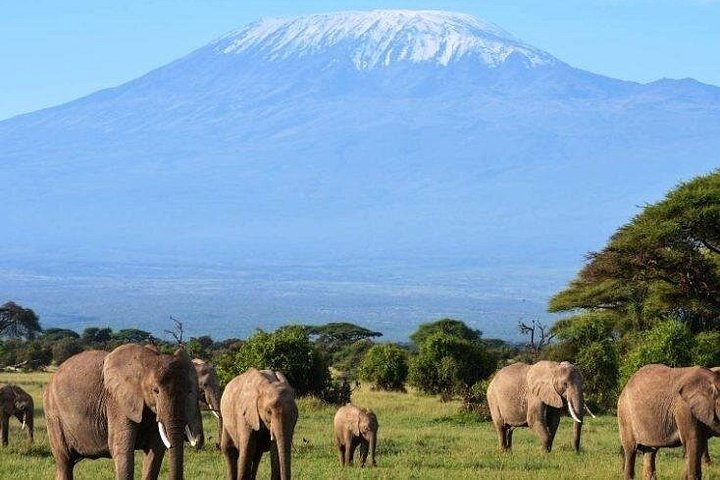 2 Days 1 Night tour to the Amboseli National Park.