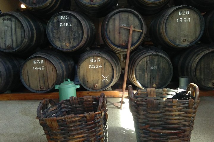 Douro Valley Small-Group Wine Tour: 2 Wineries, Cruise & Lunch