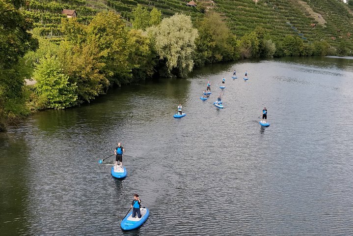 SUP BASIC COURSE Stuttgart Neckar Stand Up Paddling / Paddling Adventure Jones Tours