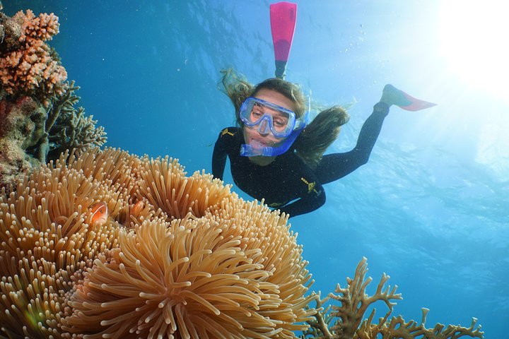 Quicksilver Great Barrier Reef Snorkel Cruise from Port Douglas