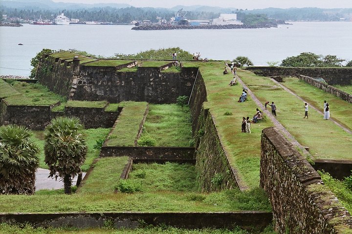Southern Sri Lanka Sightseeing Day Trip From Colombo & Negombo