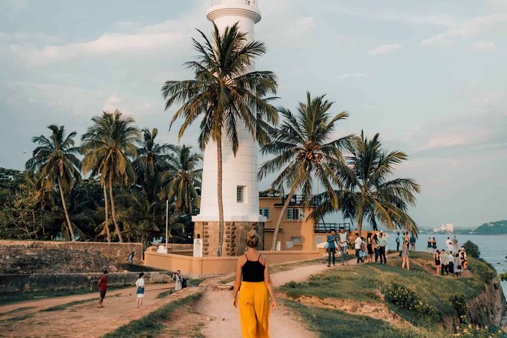 Southern Sri Lanka Sightseeing Day Trip From Colombo & Negombo