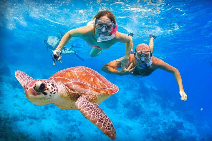 Southern Sri Lanka Sightseeing Day Trip From Colombo & Negombo