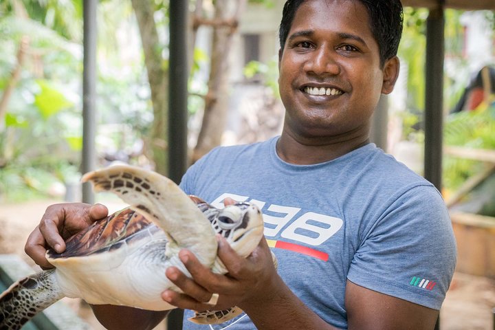 Southern Sri Lanka Sightseeing Day Trip From Colombo & Negombo