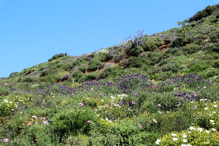 Small-Group Guided Hiking Tour in Andros with picnic on the beach