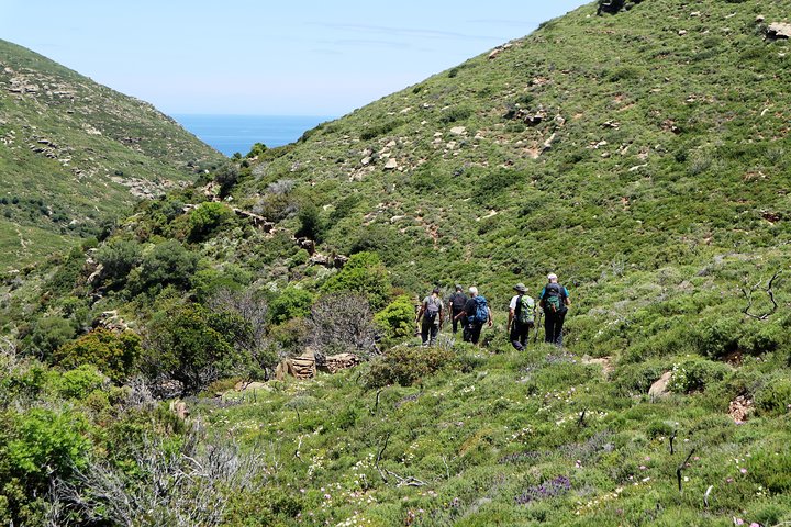 Small-Group Guided Hiking Tour in Andros with picnic on the beach