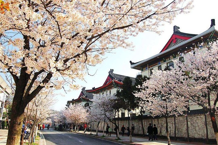 2-Day Nanjing Private Flexible Customized Tour with Lunch Option