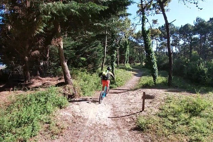 Off-road electric scooter-2h30 guided by GPS- "Carnac"
