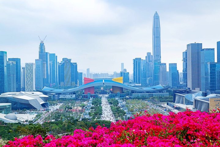 Shenzhen Private Day Tour: Culture & Tech & Shoppig In Your Way