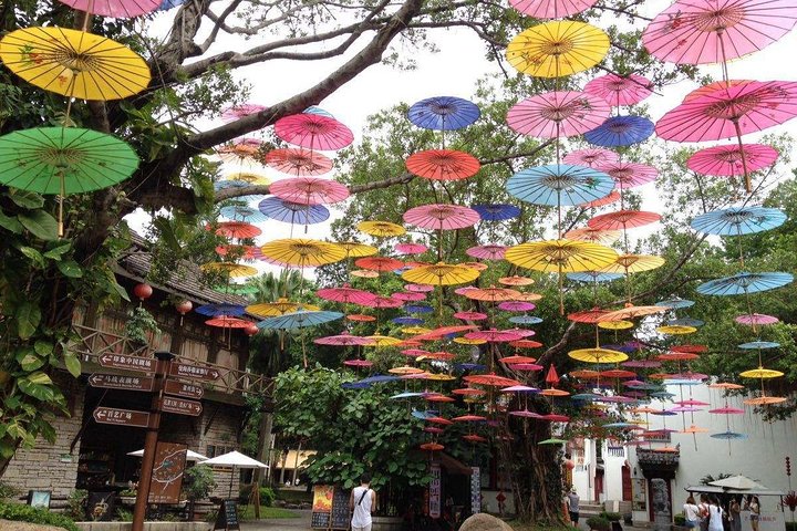 Shenzhen Private Day Tour: Culture & Tech & Shoppig In Your Way
