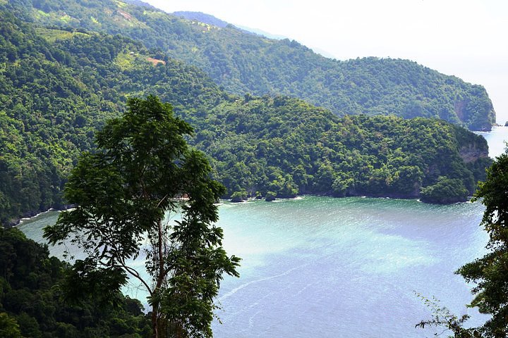 Trinidad Highlights Tour from Port of Spain