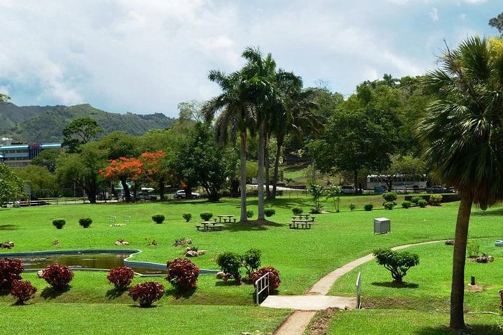 Trinidad Highlights Tour from Port of Spain