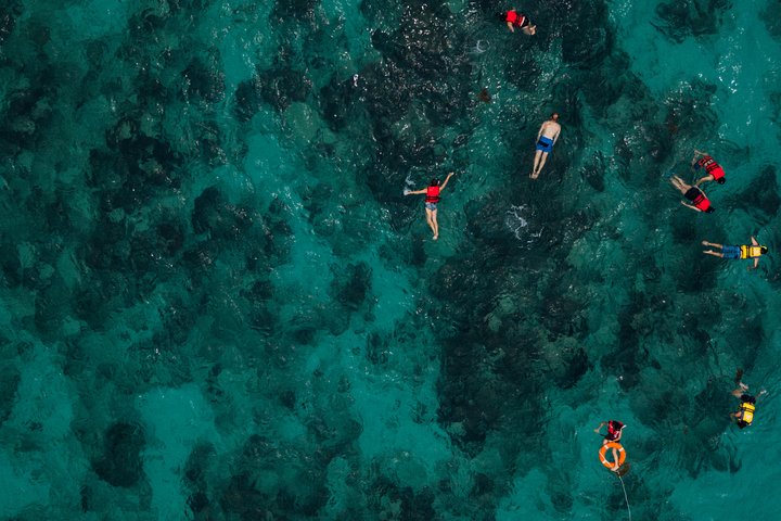 Tobago Buccoo Reef Glass Bottom Boat Tour
