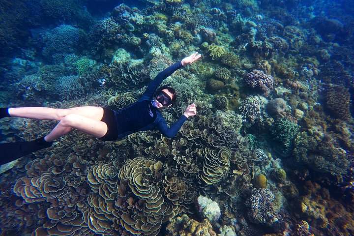 Tobago Buccoo Reef Glass Bottom Boat Tour