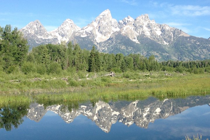 Yellowstone National Park - Full-Day Lower Loop Tour from Jackson