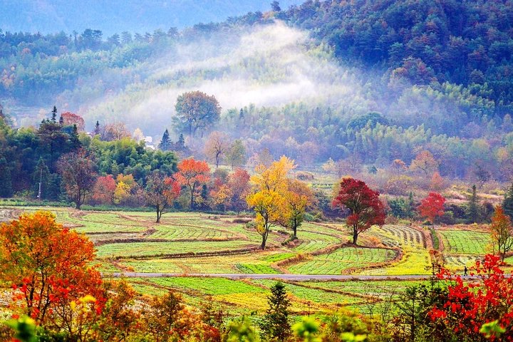 2-Day Huangshan Private Tour: Yellow Mountain and Xidi Ancient Village