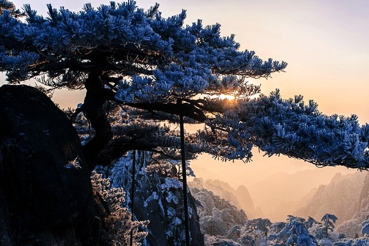2-Day Huangshan Private Tour: Yellow Mountain and Xidi Ancient Village