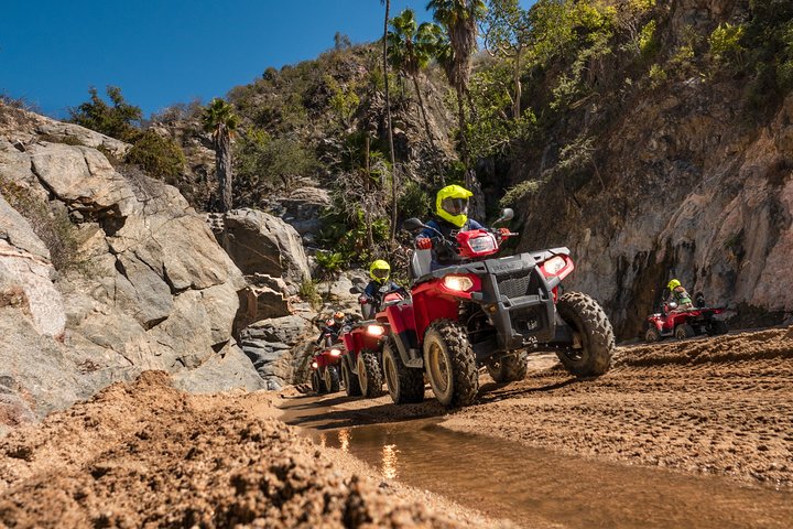 Cabo 4x4 ATV Tour with Tequila Tasting and Mexican Buffet Lunch