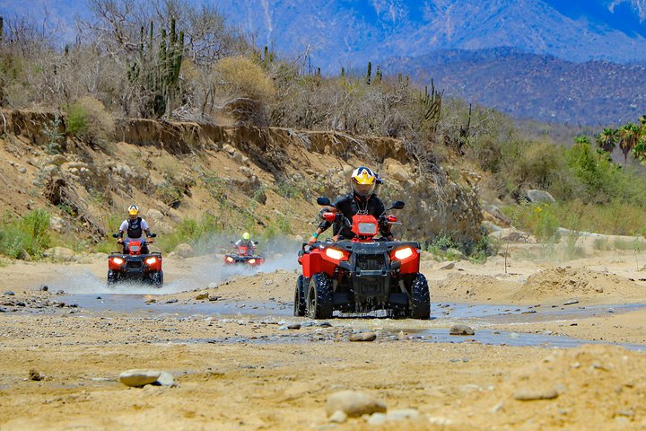 Cabo 4x4 ATV Tour with Tequila Tasting and Mexican Buffet Lunch