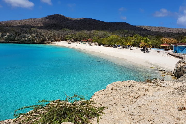 Unforgettable Sea Turtle Swim & Grote Knip Beach Escape