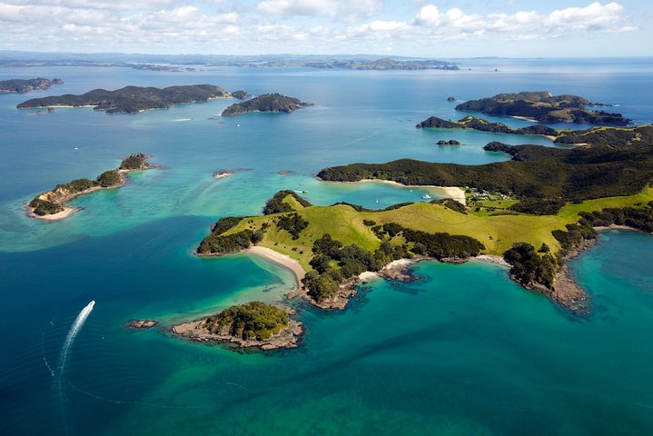 Bay of Islands Cruise & Island Tour - Snorkel, Hike,Swim,Wildlife