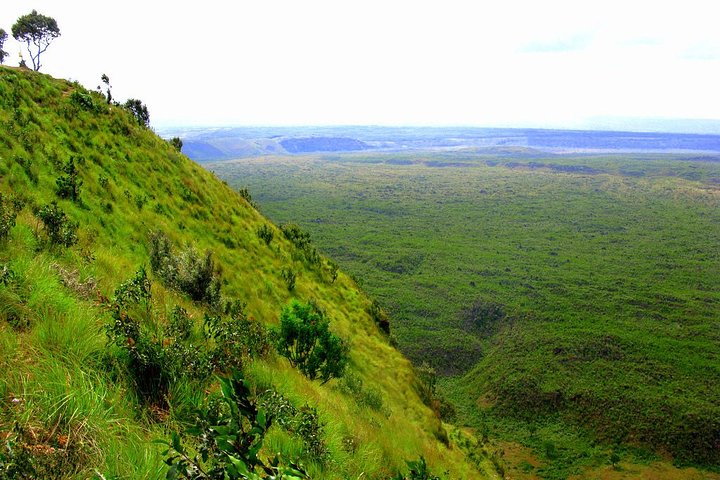 8 Days, 7 Nights Safari – Lake Nakuru, Maasai Mara, Naivasha and Amboseli Park