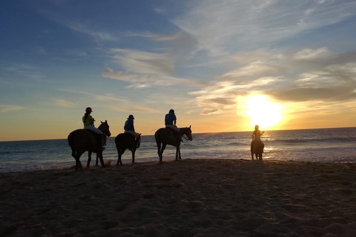 Stunning Sundown Beach Ride on horseback! MINIMUM 2 PARTICIPANTS