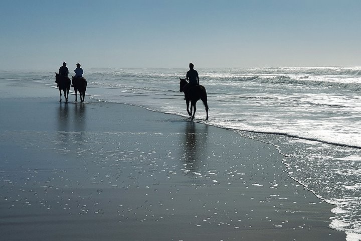 Stunning Sundown Beach Ride on horseback! MINIMUM 2 PARTICIPANTS