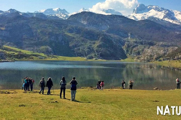 Excursion to the Picos de Europa Lakes of Covadonga and Sanctuary