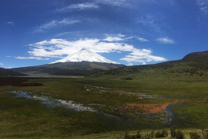 Cotopaxi Volcano (PRIVATE Day Trip from Quito)
