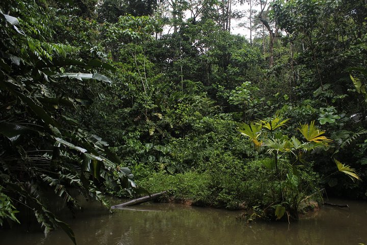 Andes & Amazon, the Triangle Route 5 Days / 4 Nights (PRIVATE Trip from Quito)