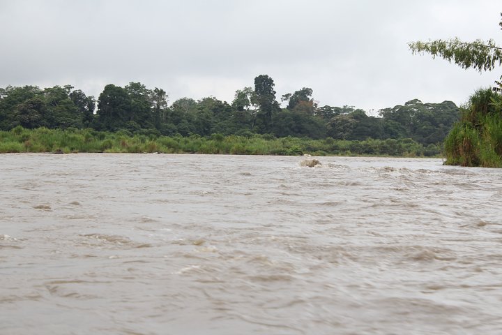 Andes & Amazon, the Triangle Route 5 Days / 4 Nights (PRIVATE Trip from Quito)