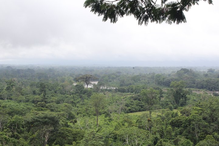Andes & Amazon, the Triangle Route 5 Days / 4 Nights (PRIVATE Trip from Quito)