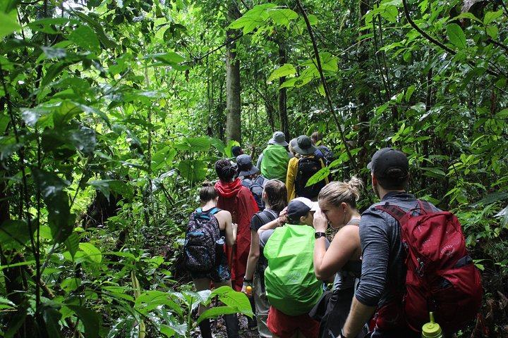Andes & Amazon, the Triangle Route 5 Days / 4 Nights (PRIVATE Trip from Quito)
