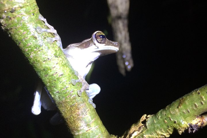 Andes & Amazon, the Triangle Route 5 Days / 4 Nights (PRIVATE Trip from Quito)
