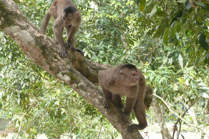 Andes & Amazon, the Triangle Route 5 Days / 4 Nights (PRIVATE Trip from Quito)