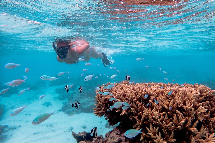 Rarotonga Cruise Ship Special