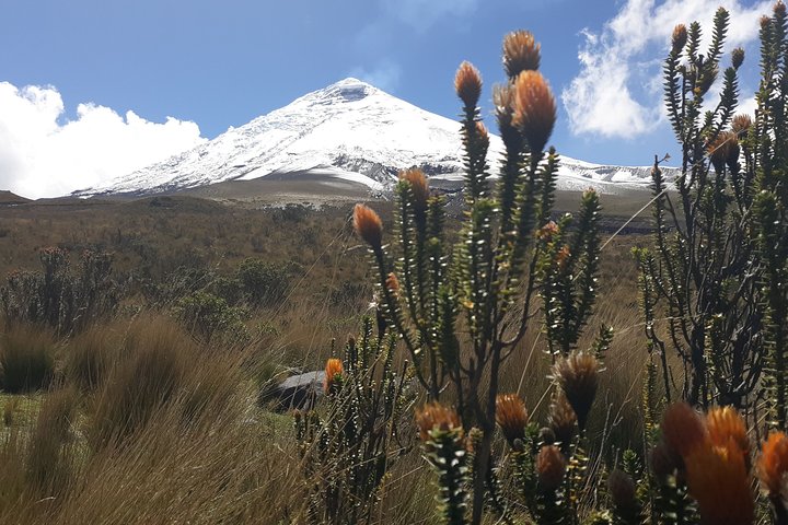 Andes & Amazon, the Triangle Route 5 Days / 4 Nights (PRIVATE Trip from Quito)