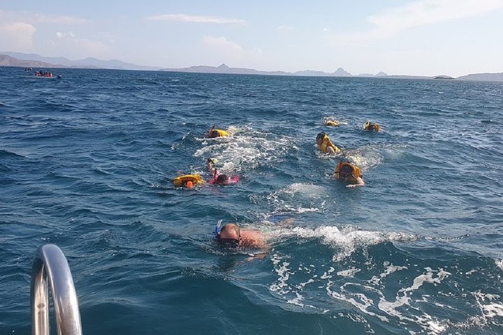 3-Days Sailing Komodo Island,Padar & Manta Point departure every Friday