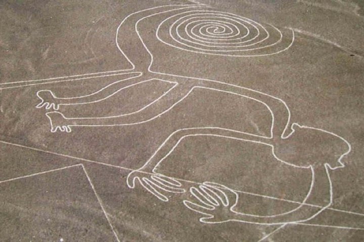 Nazca Lines Overflight Tour from Nazca