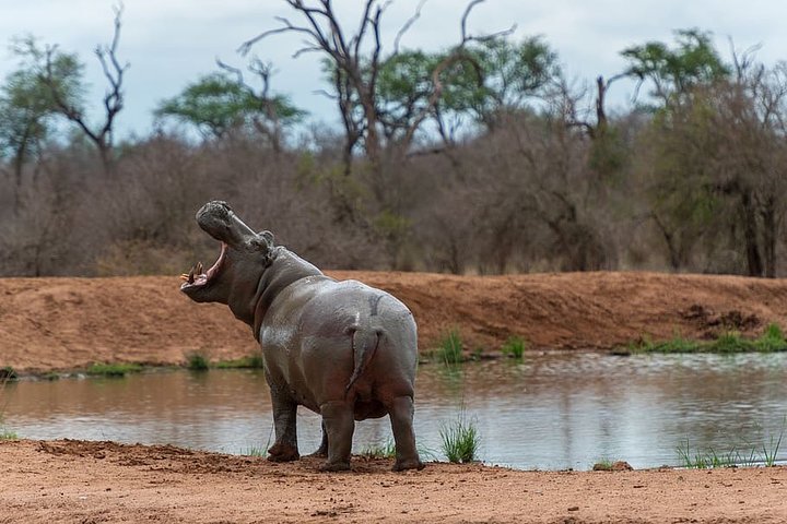 2 Days Cultural Swaziland Hlane National Park