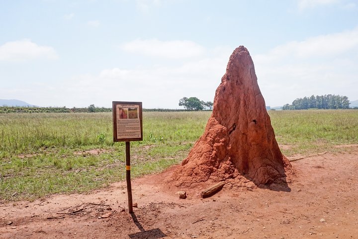 2 Days Cultural Swaziland Hlane National Park